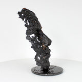 Cette sculpture représente un visage humain, créé avec une technique de dentelle de métal unique.