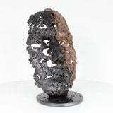 Cette sculpture représente un visage humain, créé avec une technique de dentelle de métal unique.