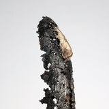 Idole CLXV - Sculpture métal corps bronze et acier - Buil