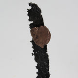 Un coeur de soie - Sculpture métal coeur en bronze sur ruban en dentelle acier