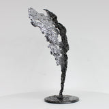 Pavarti Surfeur - Sculpture corps masculin dentelle metal et chrome