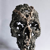Crane 100-23 - Sculpture vanité - tete de mort métal dentelle acier et bronze