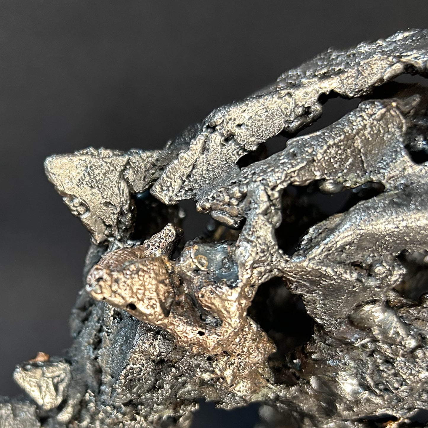 Sculpture contemporaine d'un rhinocéros en dentelle de métal acier et bronze par l'artiste sculpteur Philippe Buil détail matière