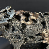 Sculpture contemporaine d'un rhinocéros en dentelle de métal acier et bronze par l'artiste sculpteur Philippe Buil détail matière