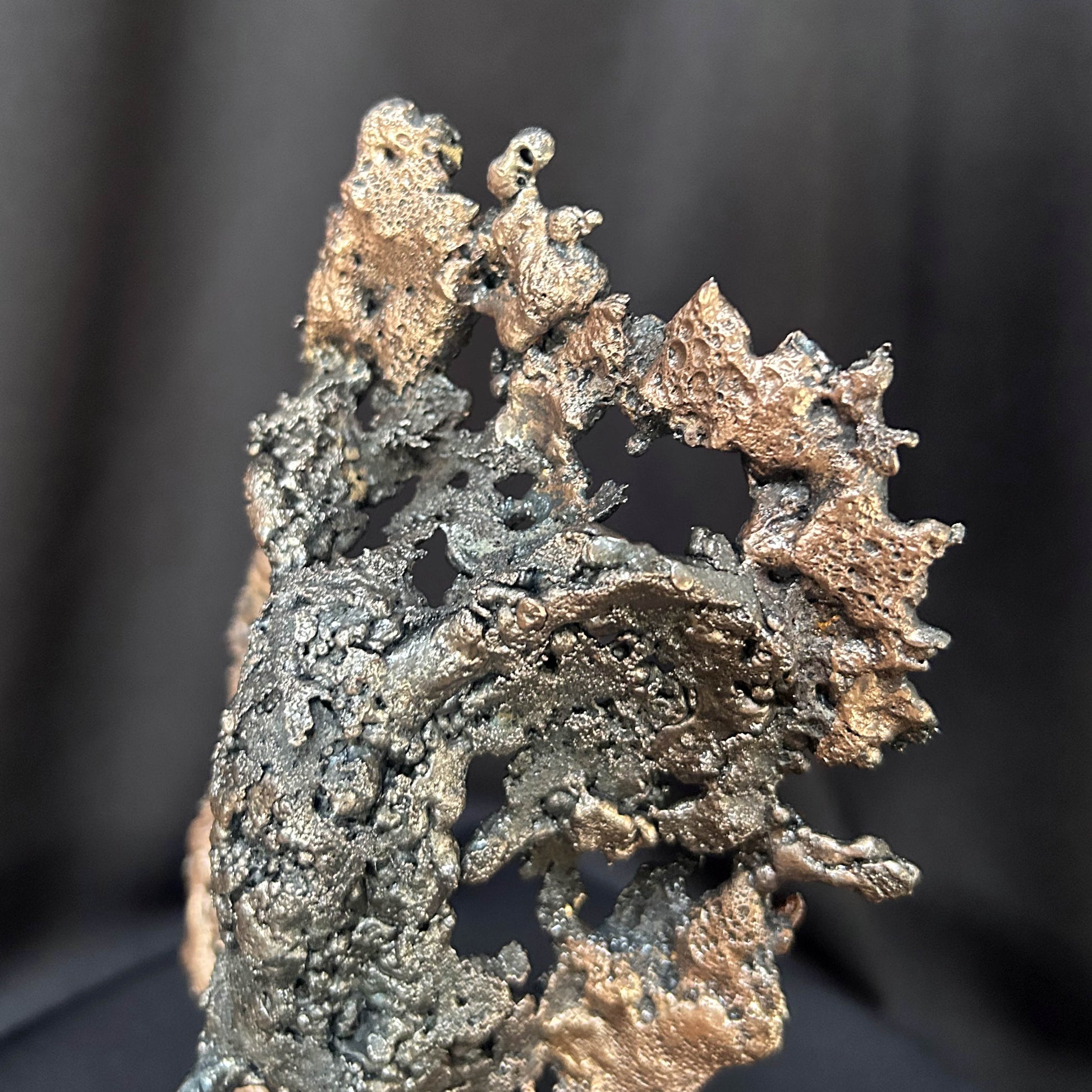 Texture organique en acier et bronze sur sculpture animalière contemporaine