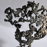 Pavarti Avis - Sculpture corps femme dentelle metal acier bronze