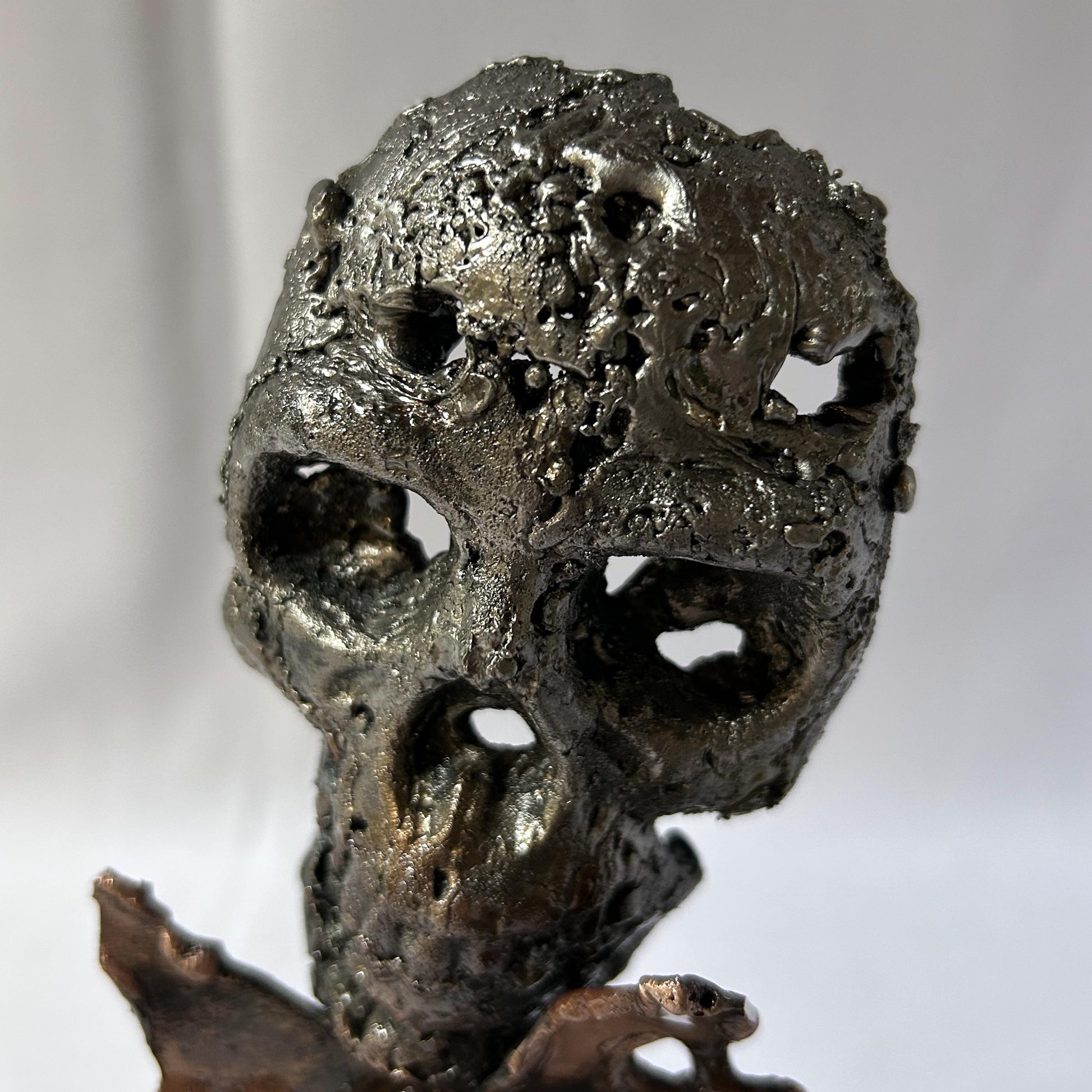 46-25-Crane-Vanite-Sculpture-tete-de-mort-acier-bronze-Vanite-art-Skull-artwork-steel-metal-Buil1