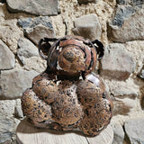 Oso Nandi - Escultura animal - Oso de encaje de bronce