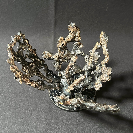 Cette œuvre unique de Philippe Buil, réalisée en dentelle de métal, capture la délicatesse et la force d’une fleur épanouie.