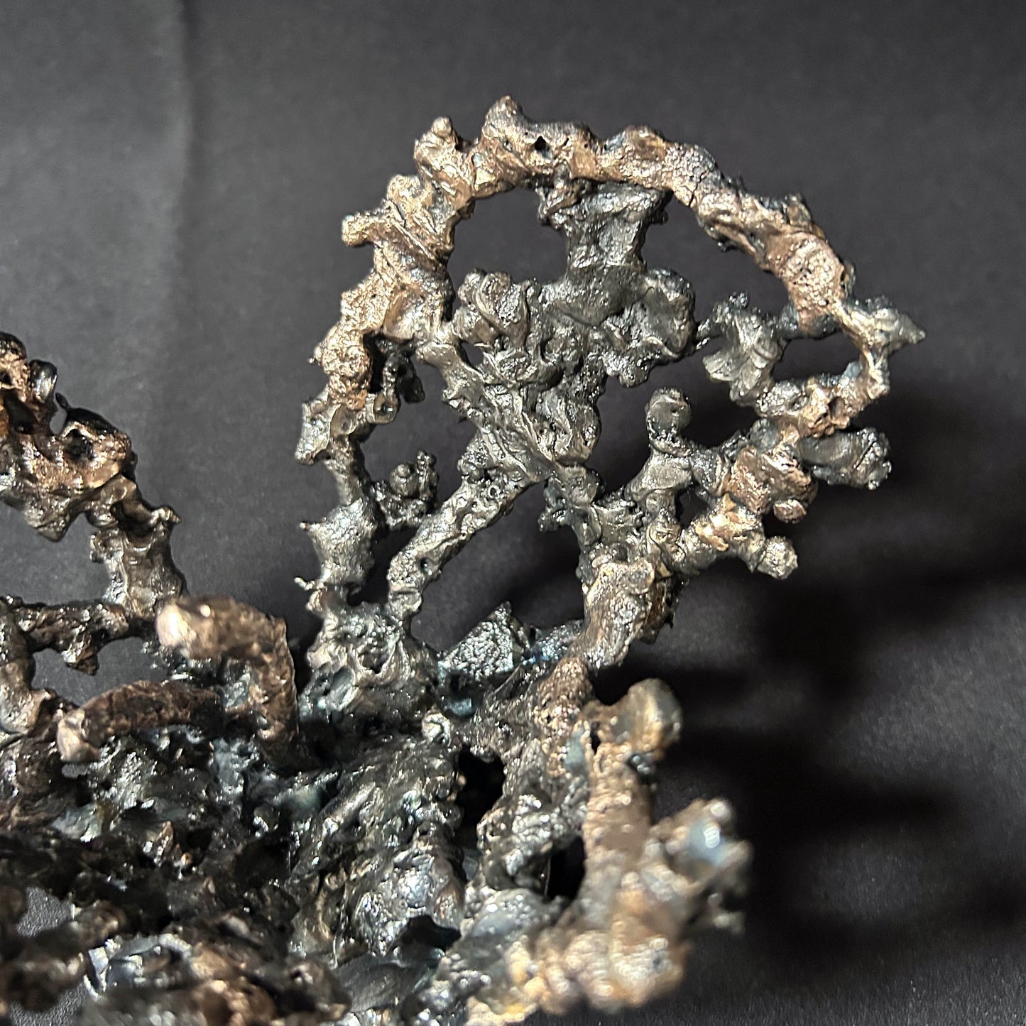 Cette œuvre unique de Philippe Buil, réalisée en dentelle de métal, capture la délicatesse et la force d’une fleur épanouie.