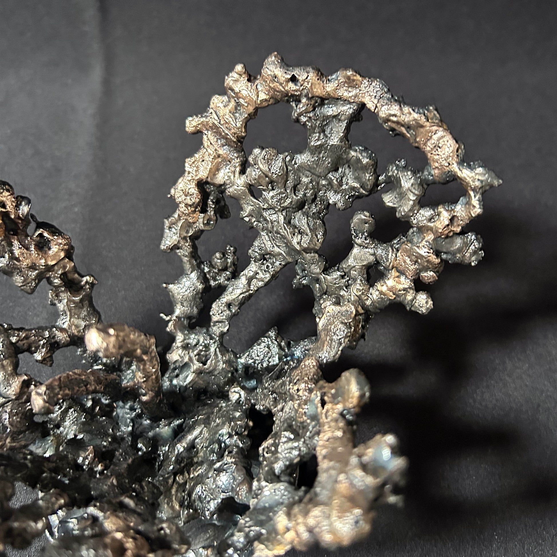 Cette œuvre unique de Philippe Buil, réalisée en dentelle de métal, capture la délicatesse et la force d’une fleur épanouie.