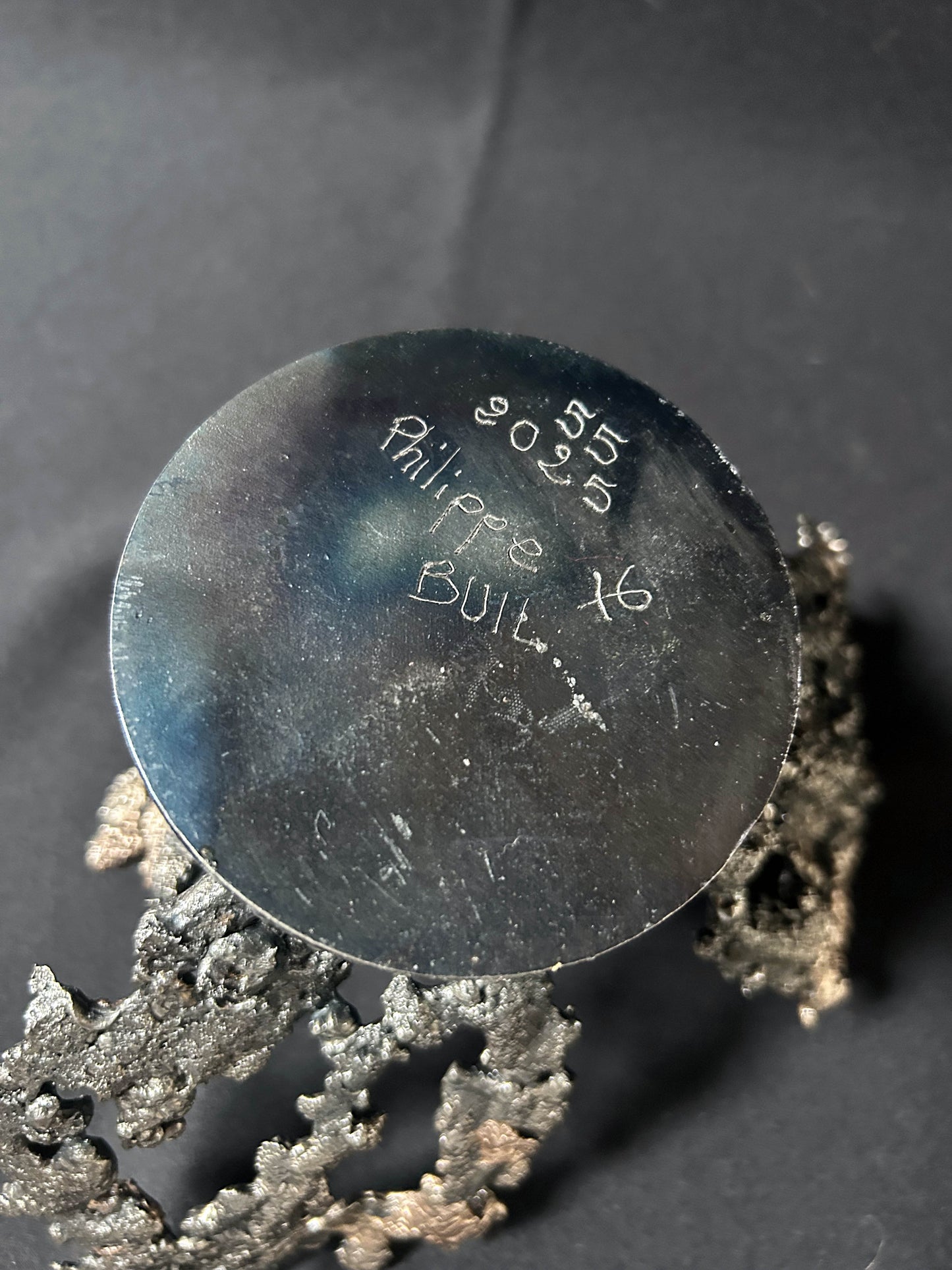 Cette œuvre unique de Philippe Buil, réalisée en dentelle de métal, capture la délicatesse et la force d’une fleur épanouie.