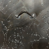 Металлическая табличка - Кот арлекин