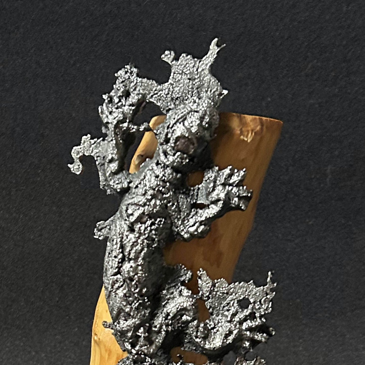 Sculpture contemporaine représentant une salamandre en dentelle de métal (acier), fixée sur un socle métallique circulaire et appuyée contre un morceau de bois naturel, œuvre de Philippe Buil, sur fond sombre.