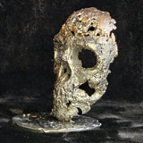Crane 84-23 - Sculpture vanité - tete de mort dentelle métal acier et bronze