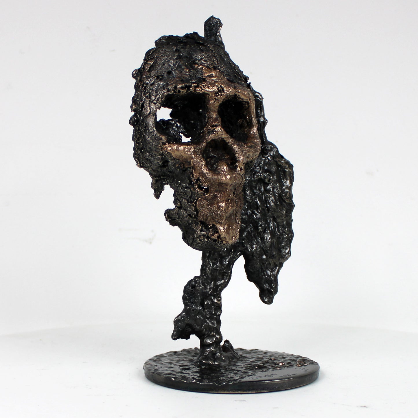 Crane 27-23 - Sculpture tete de mort en dentelle de metal acier et bronze