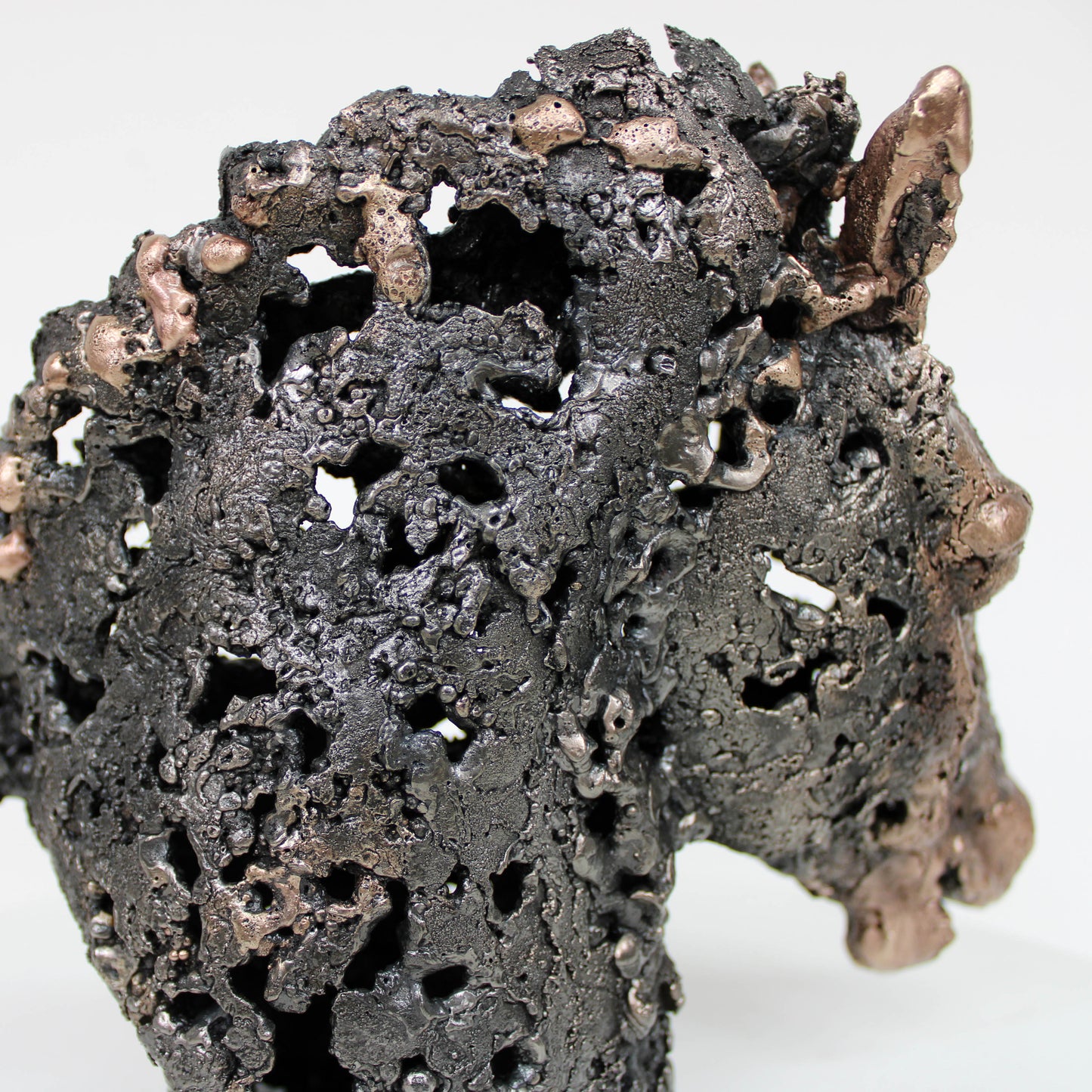 Cheval barbe 34-23 - Sculpture tete de cheval dentelle métal acier et bronze