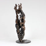 Montagne Vanité 51-23 - Sculpture crane en bronze et acier sur dentelle de métal